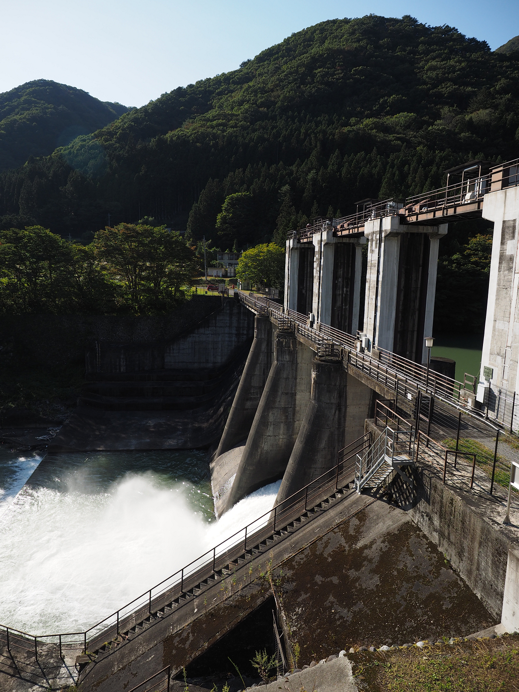 PA110250.jpg
