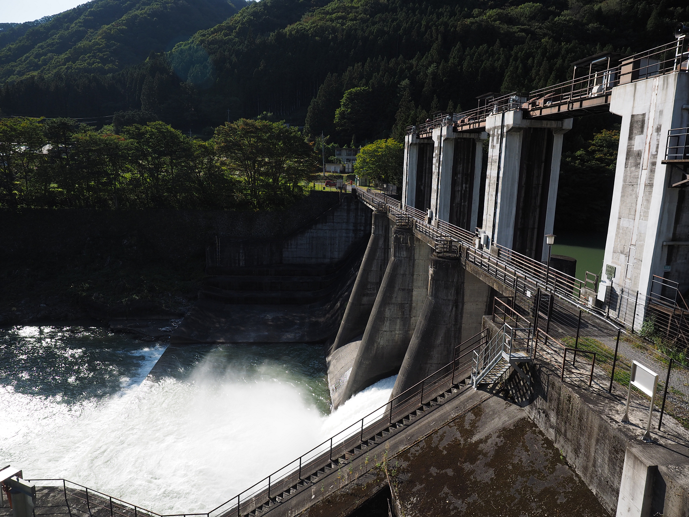 PA110253.jpg