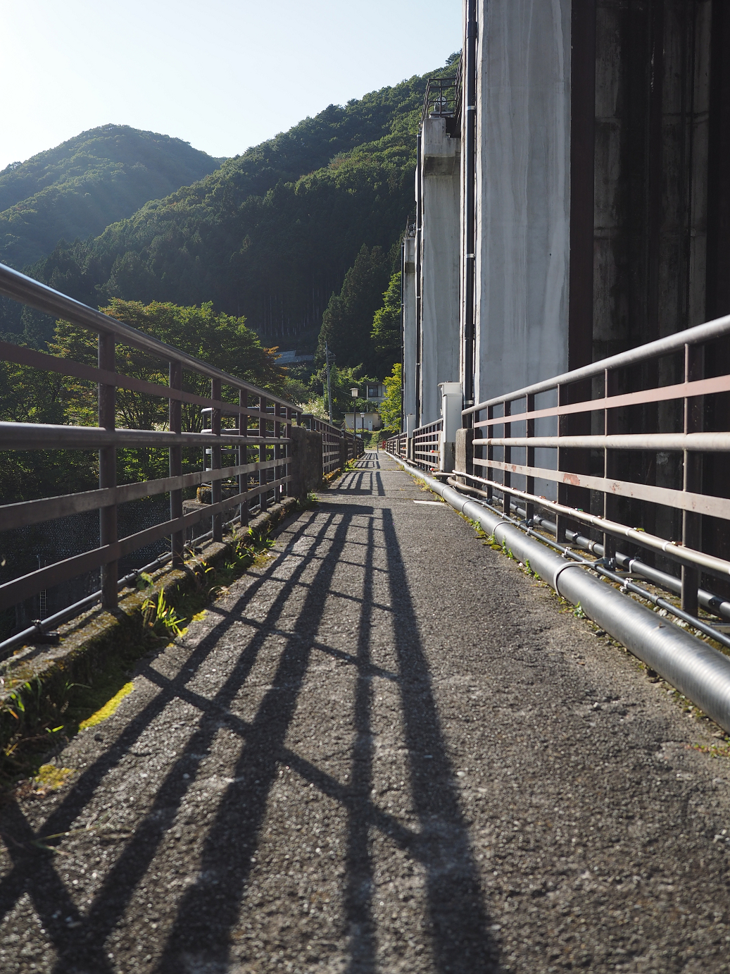 PA110260.jpg