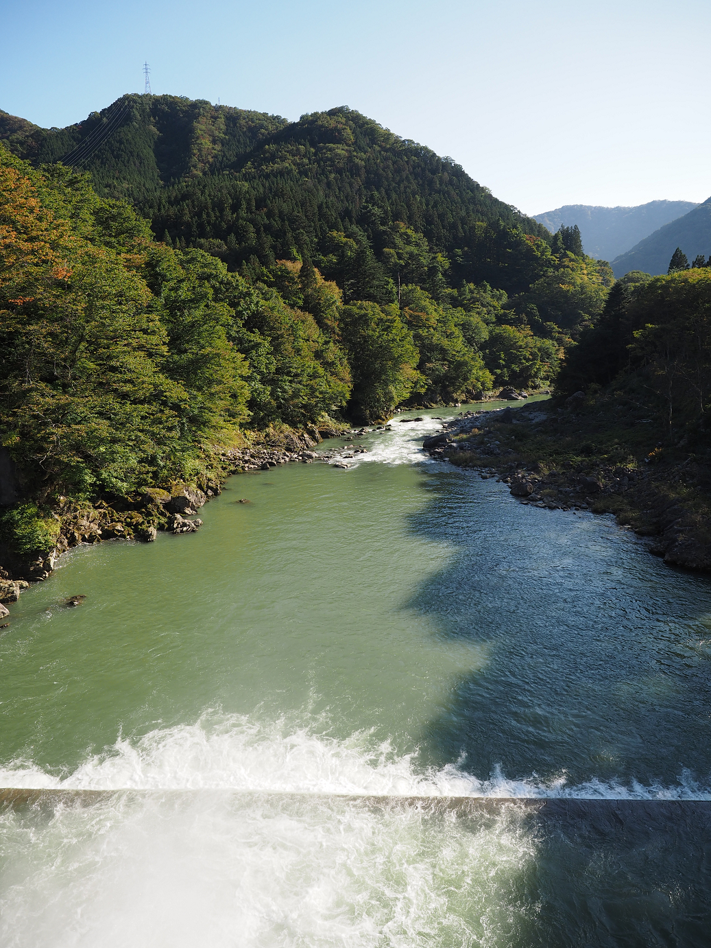 PA110278.jpg