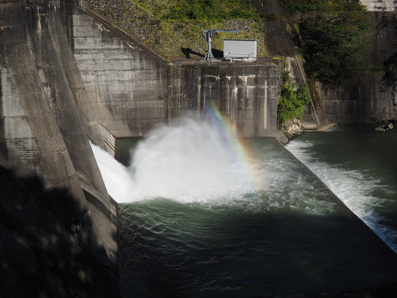 PA110289.jpg