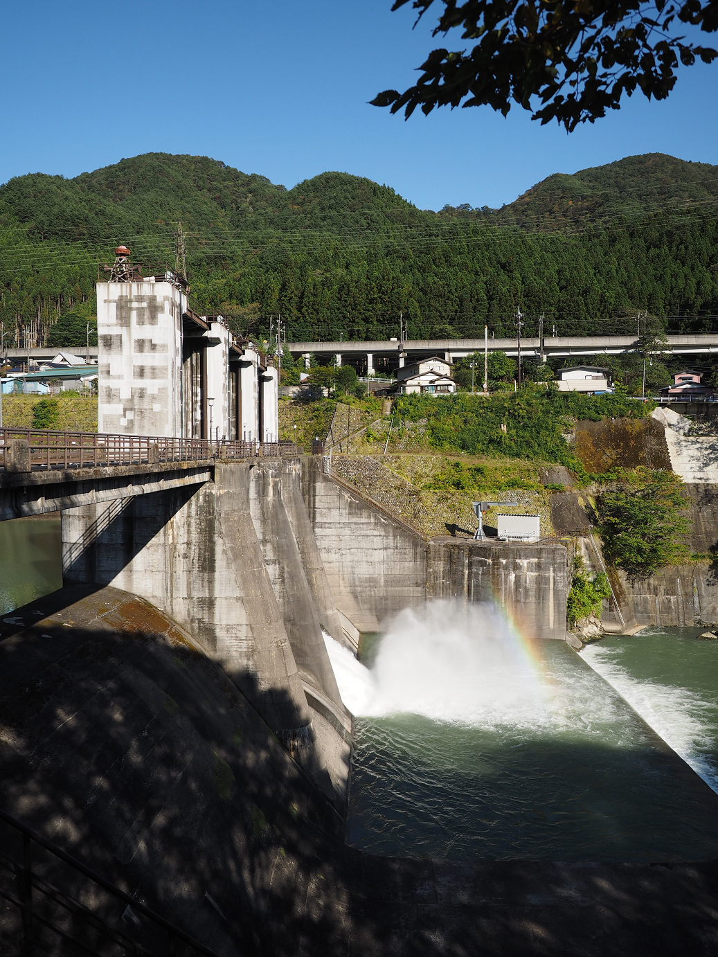 PA110290.jpg