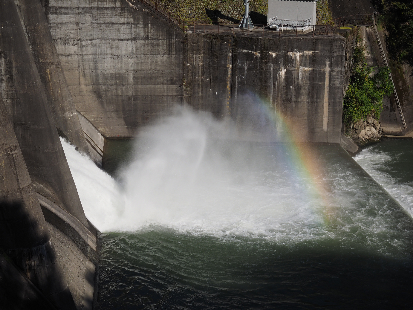 PA110294.jpg