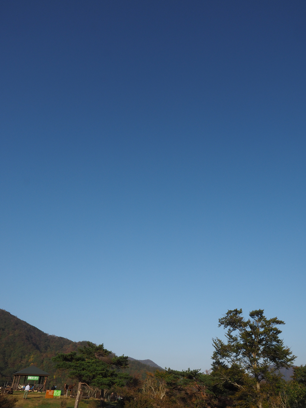 PA110323.jpg