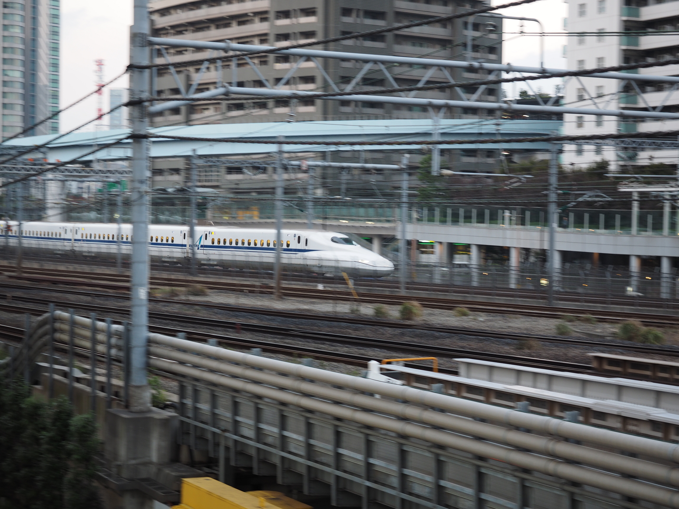 PA190026.jpg