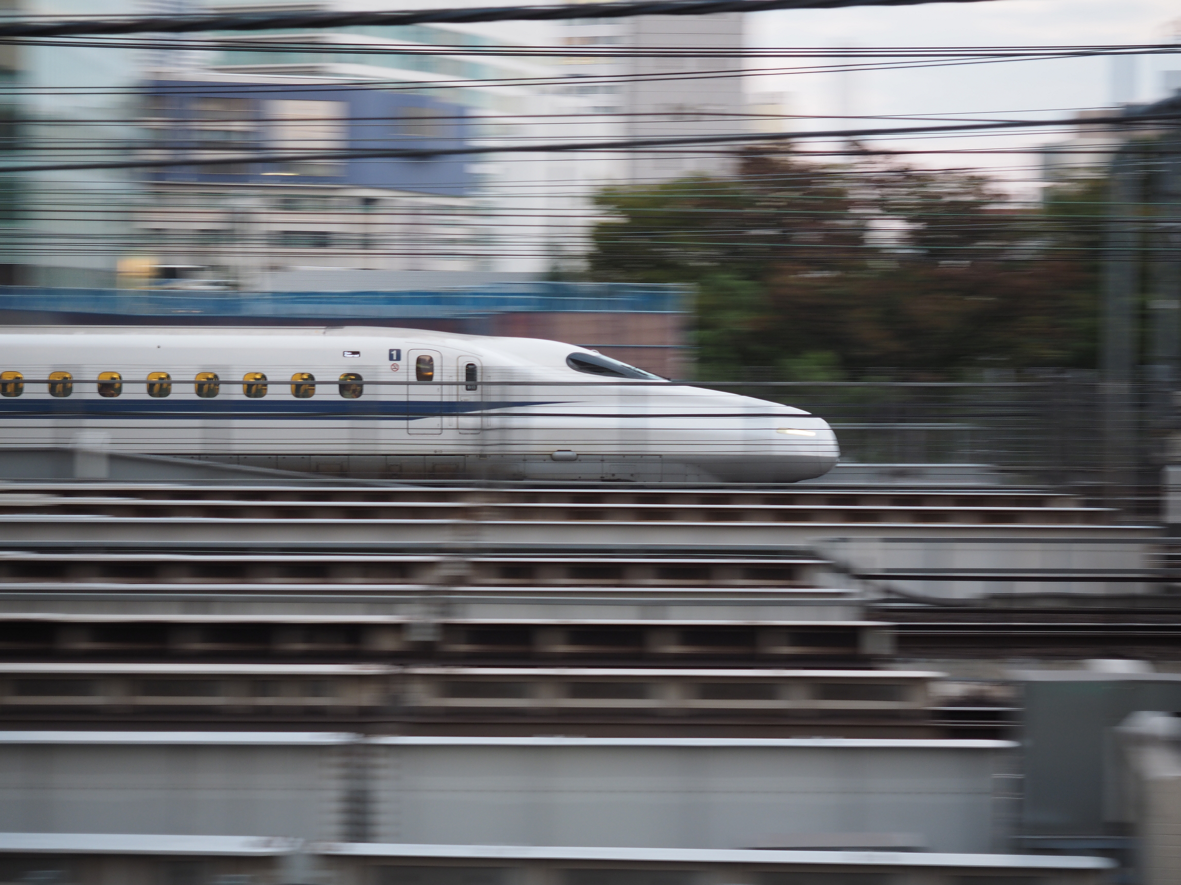 PA190040.jpg