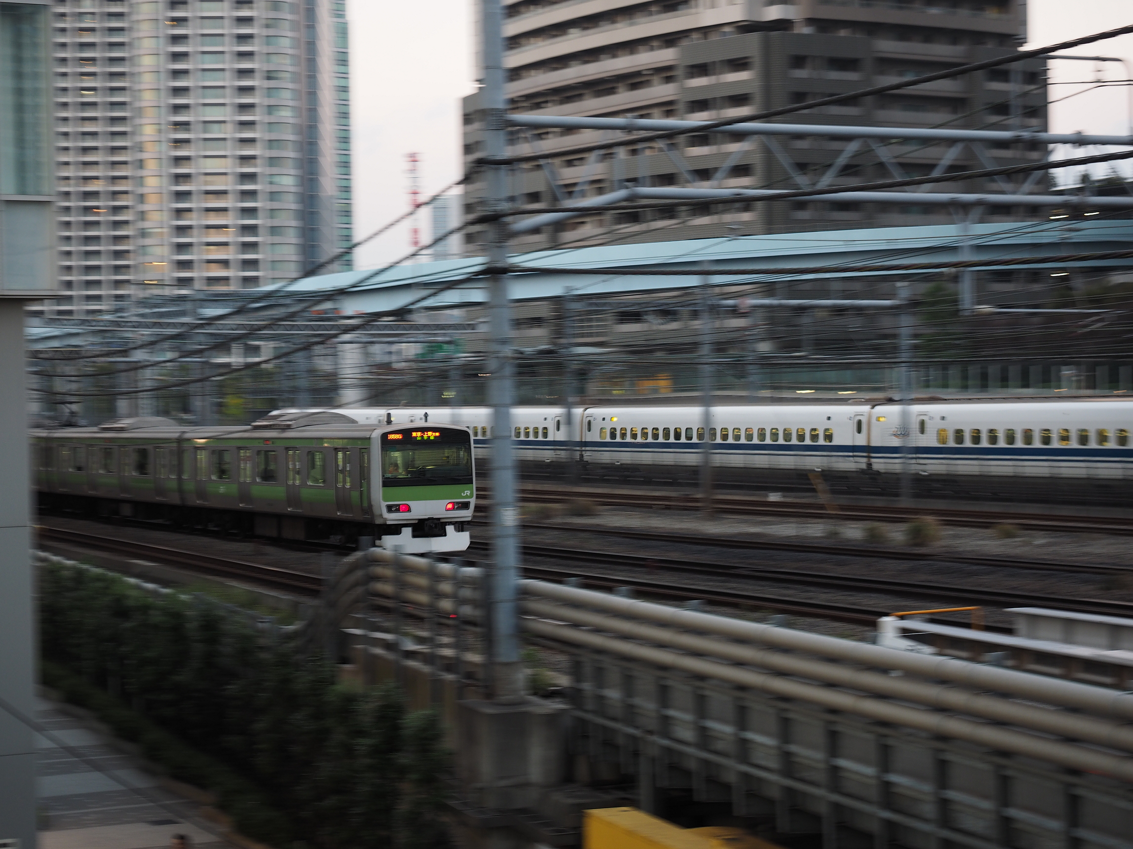 PA190147.jpg