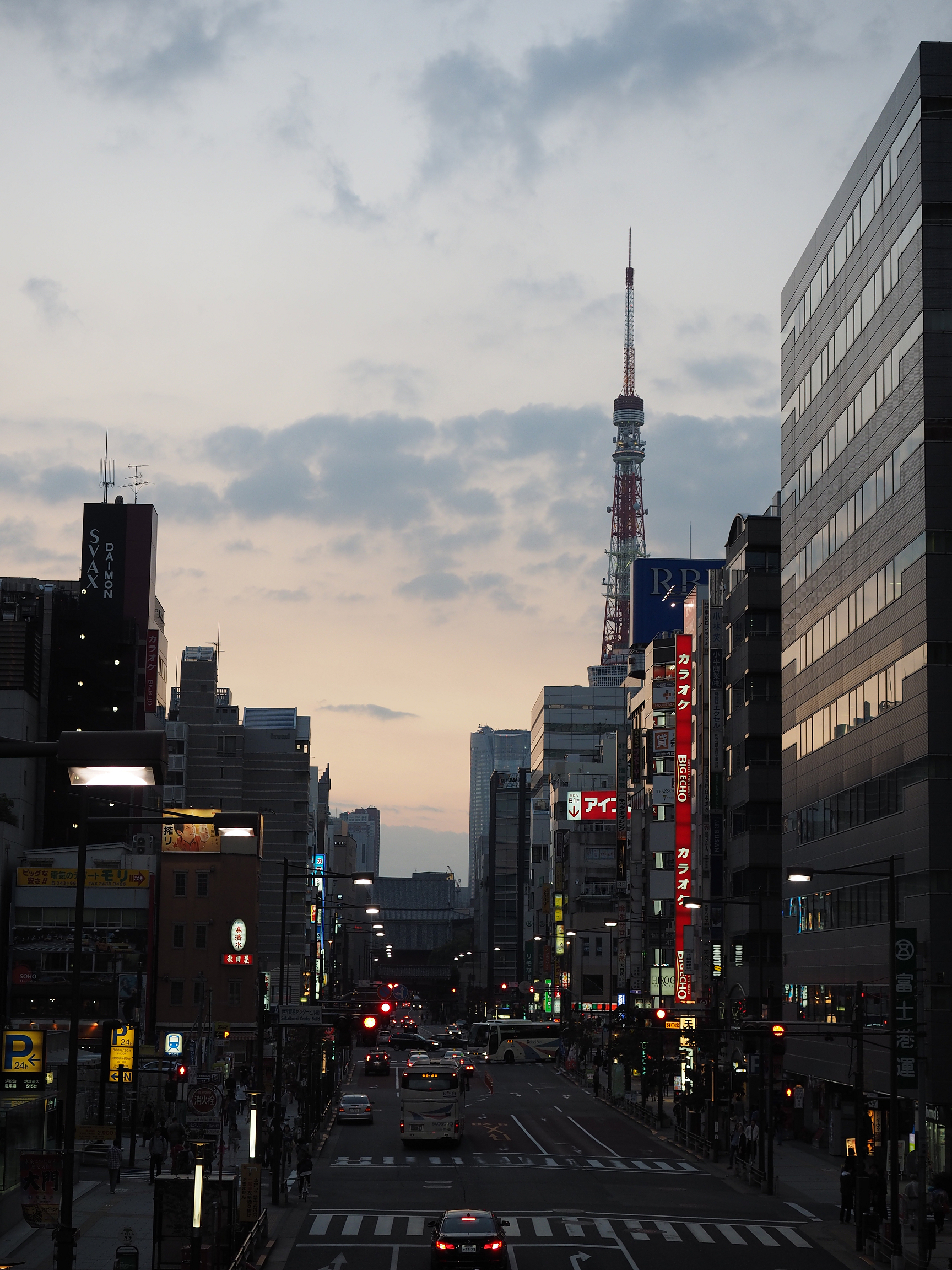PA190171.jpg