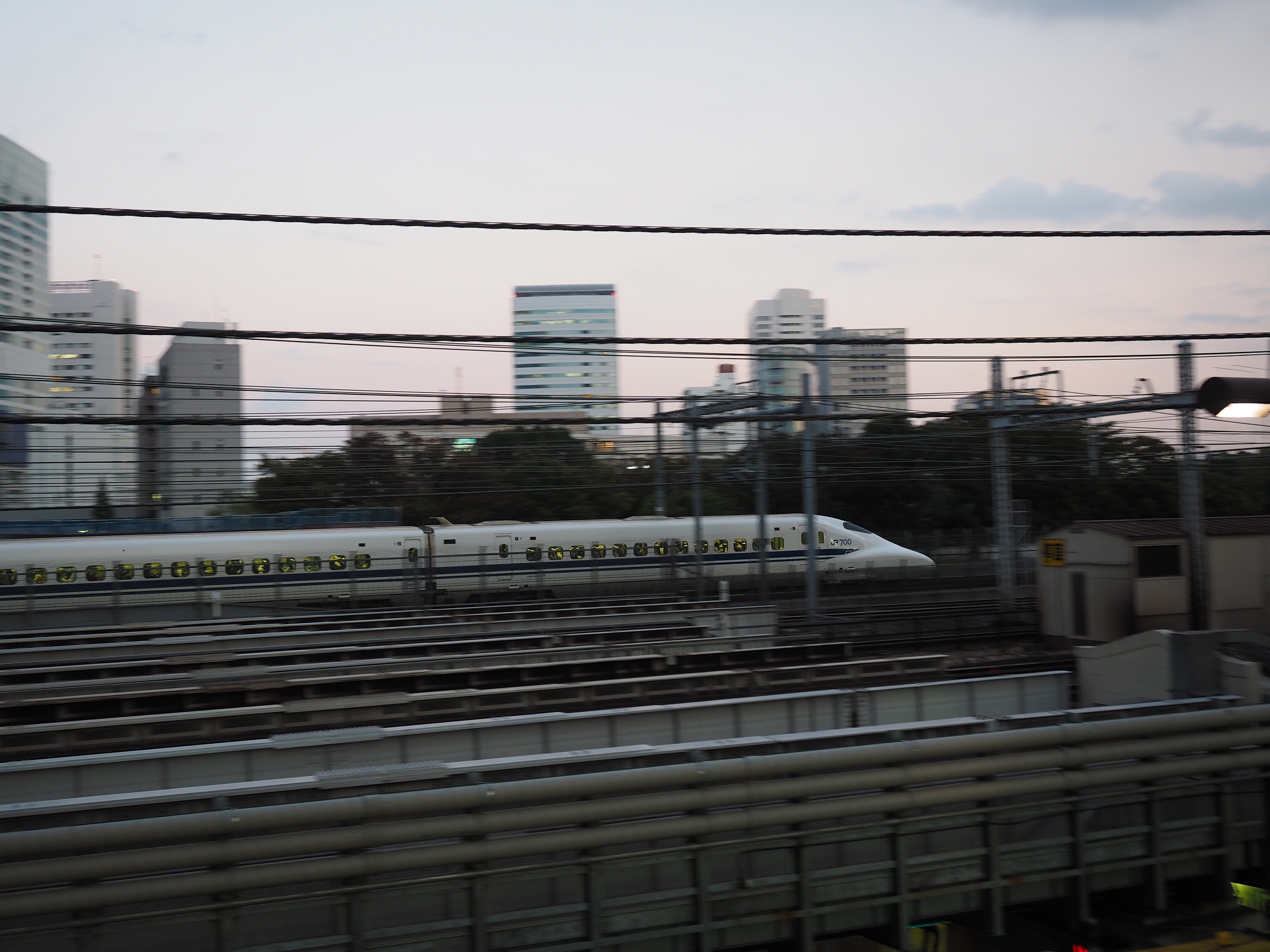 PA190205.jpg