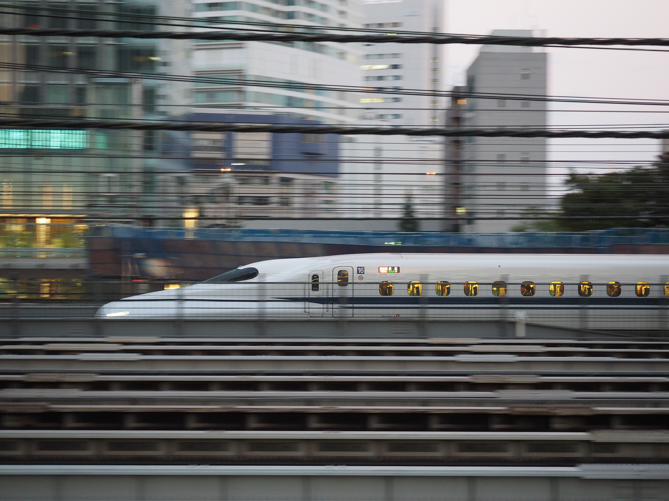 PA190217.jpg