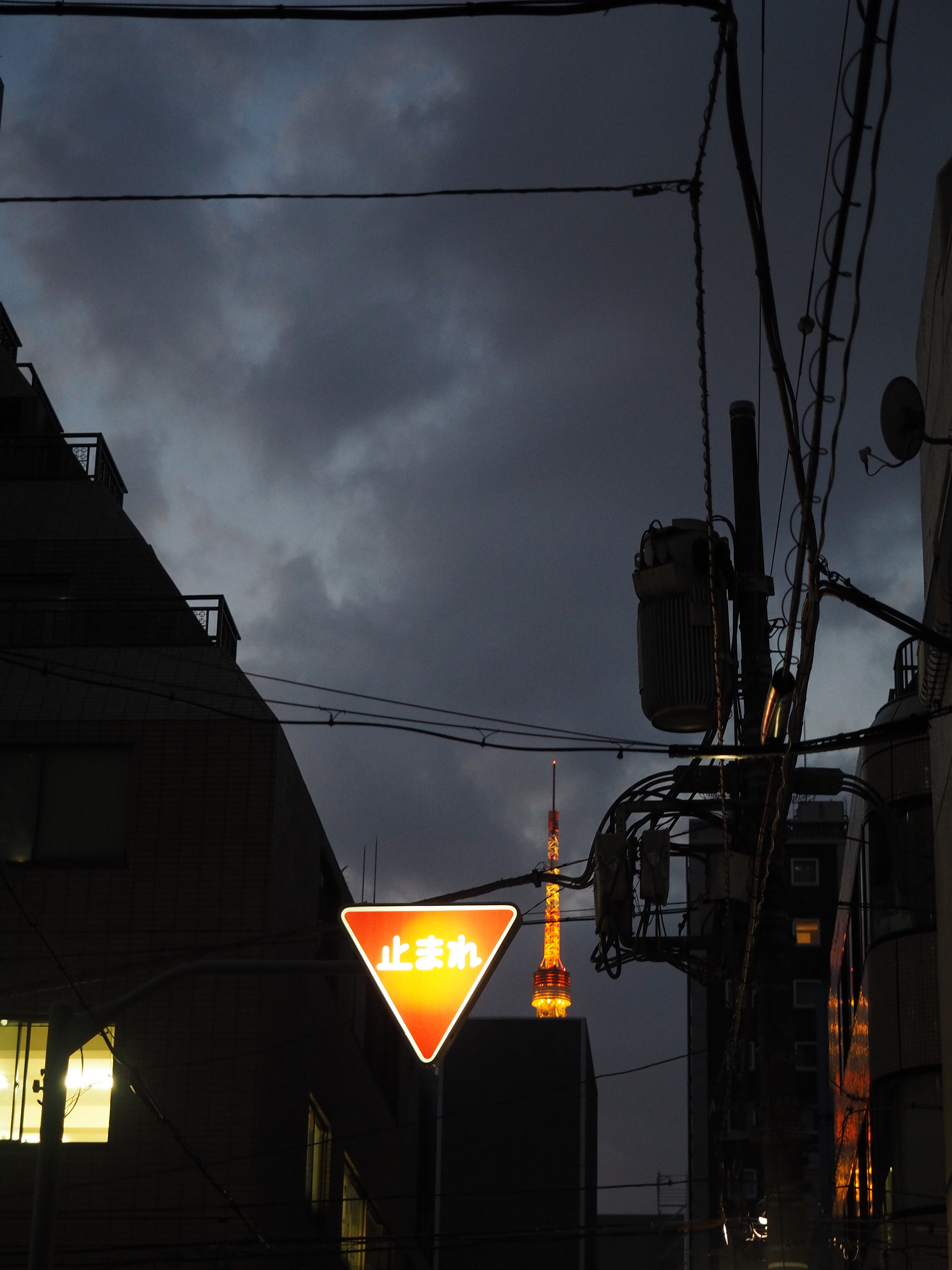PA190303.jpg