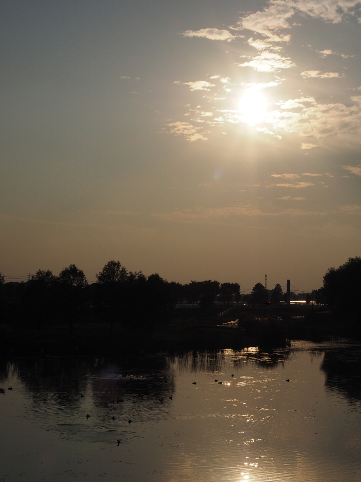 PA250015.jpg