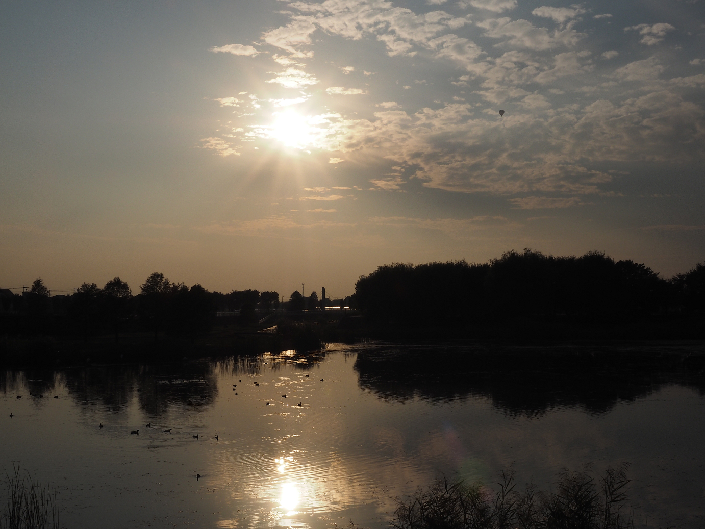 PA250018.jpg