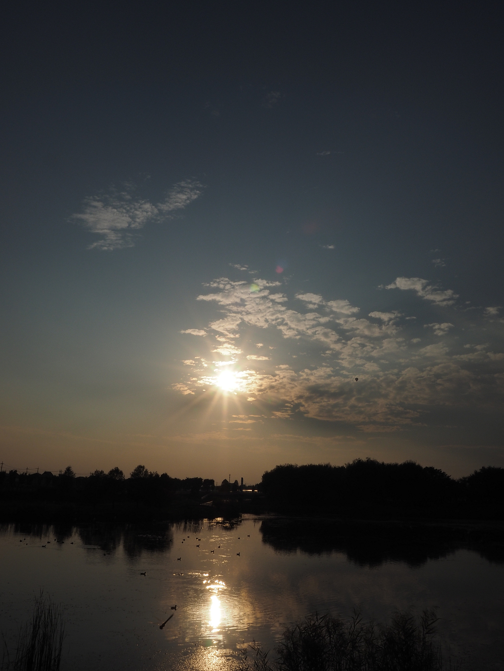 PA250021.jpg