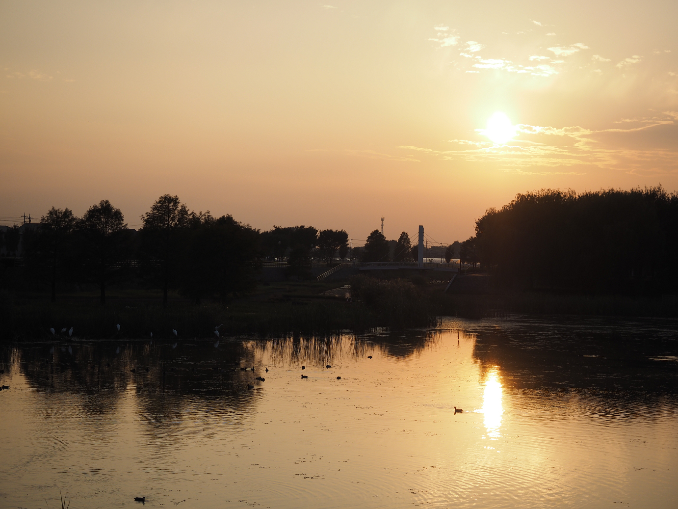PA250031.jpg