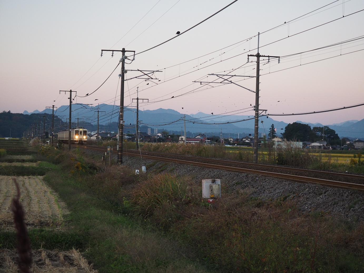 PA280063.jpg