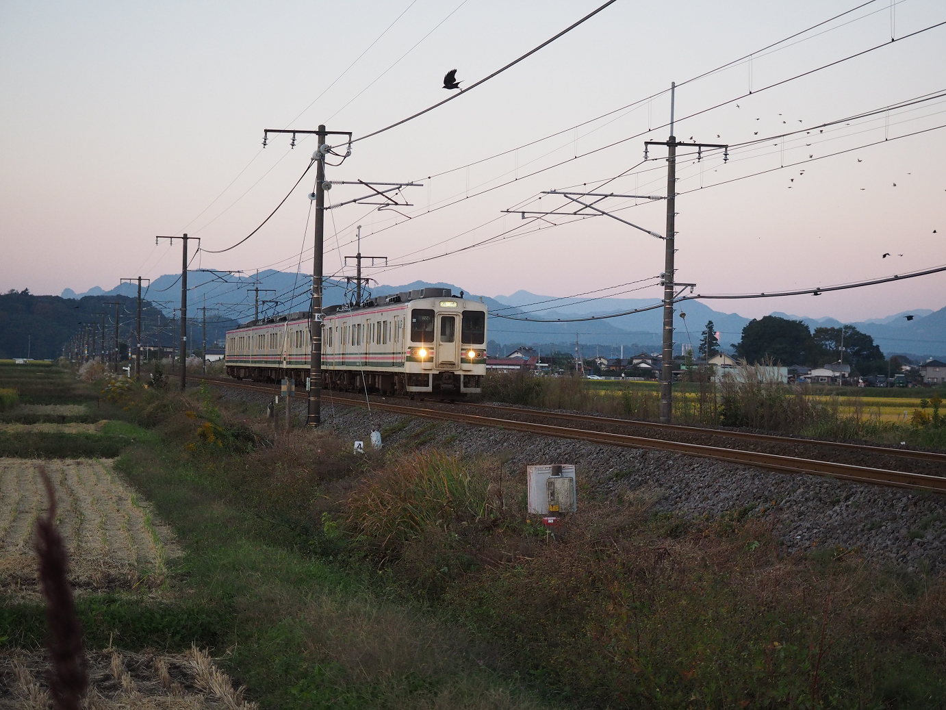 PA280064.jpg
