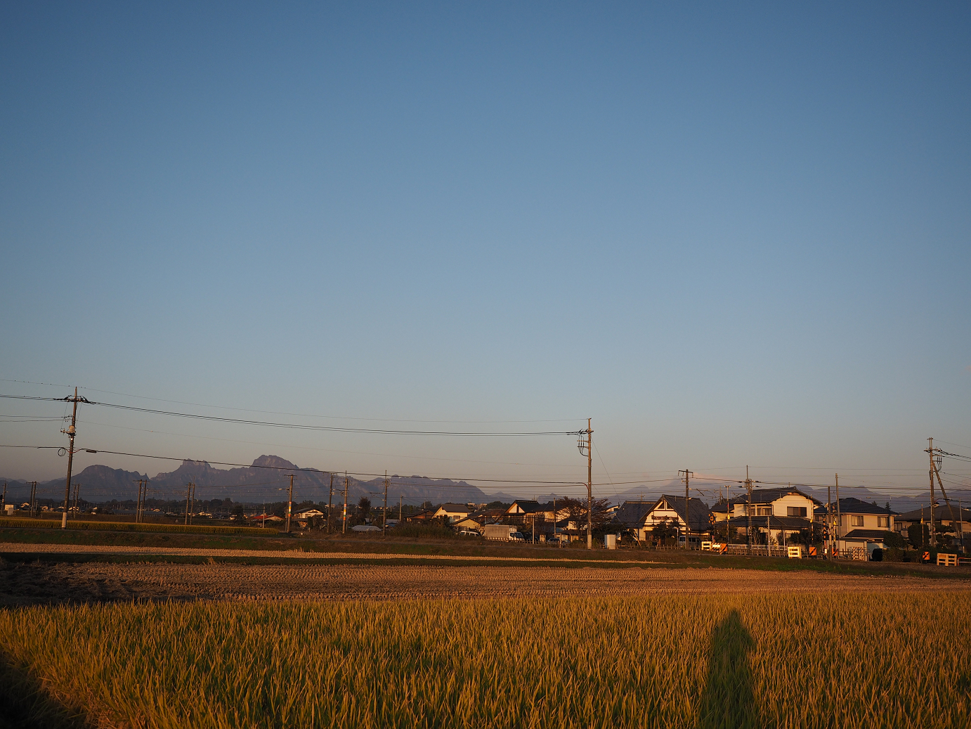 PA280079.jpg
