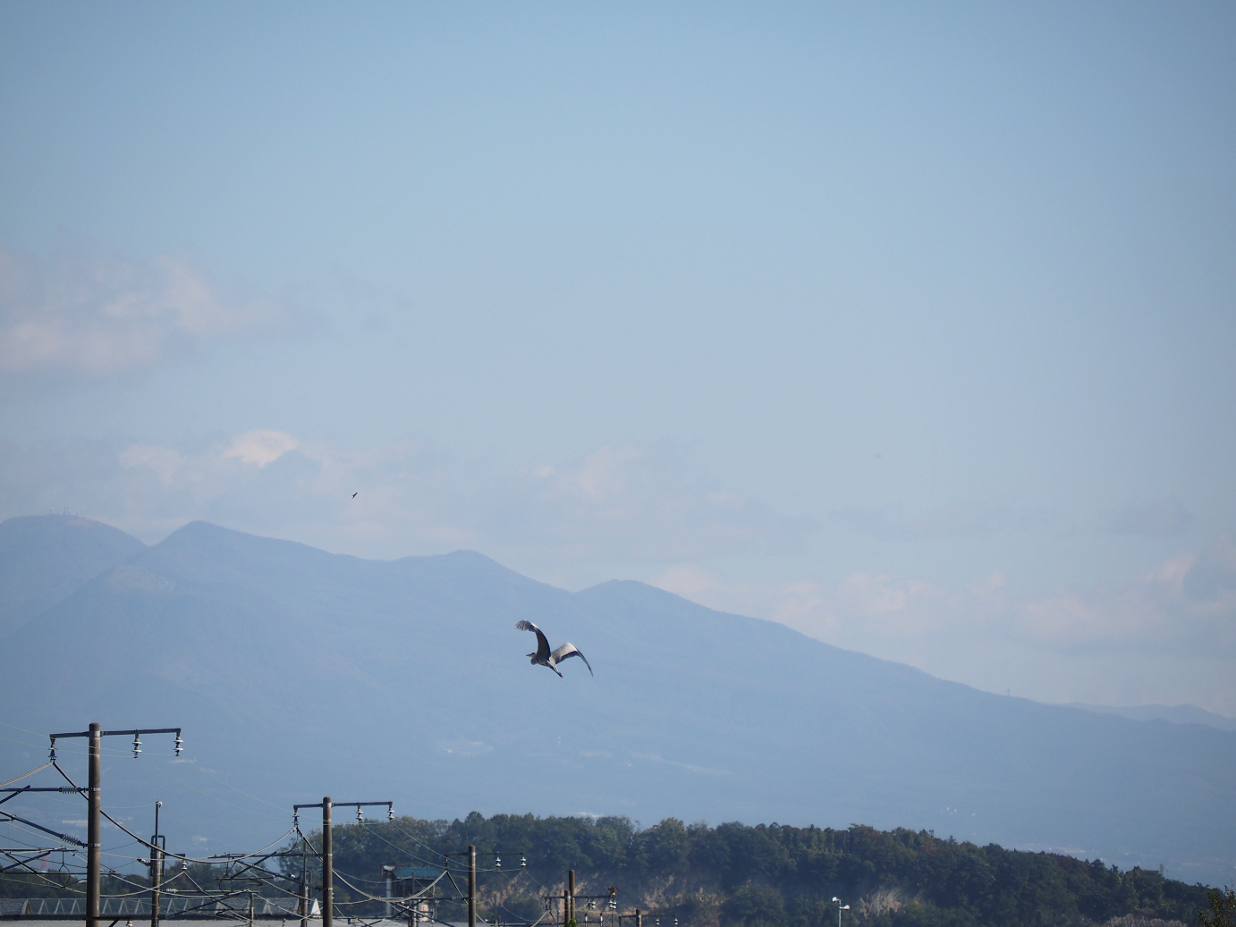 PA280153.jpg