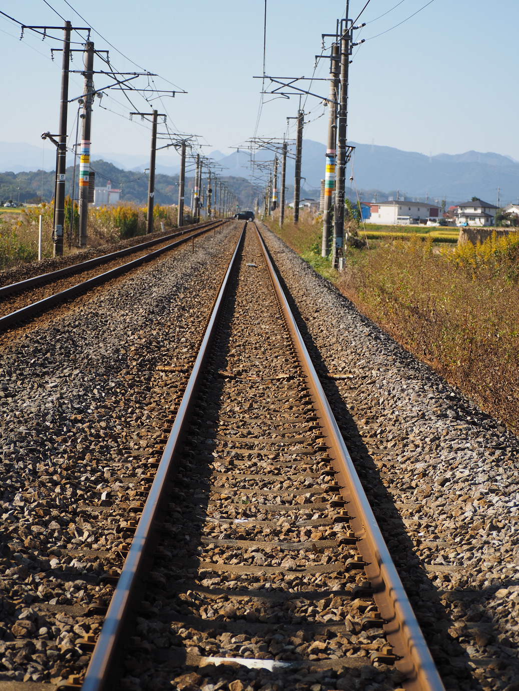 PA280157.jpg
