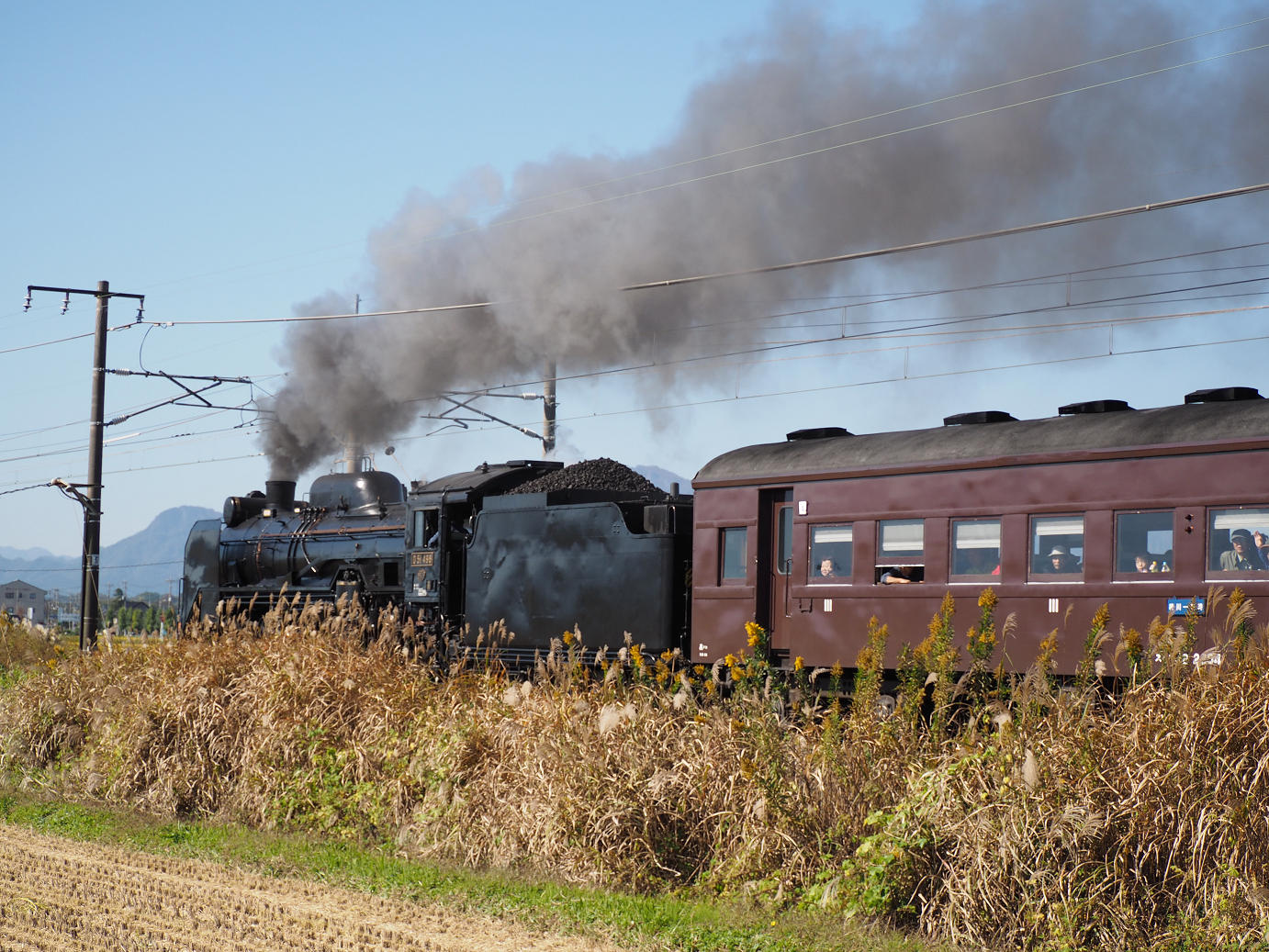 PA280223.jpg