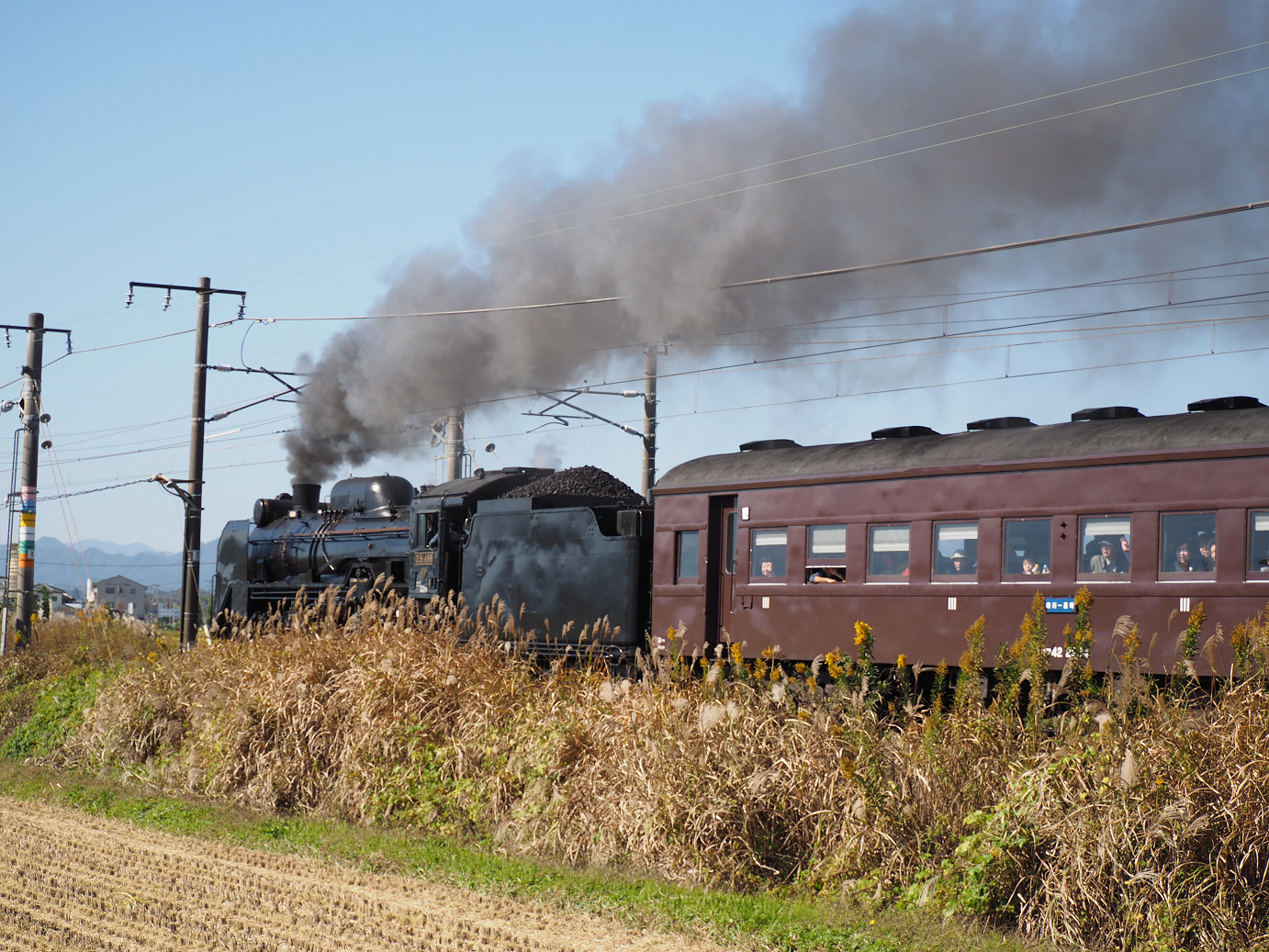 PA280225.jpg