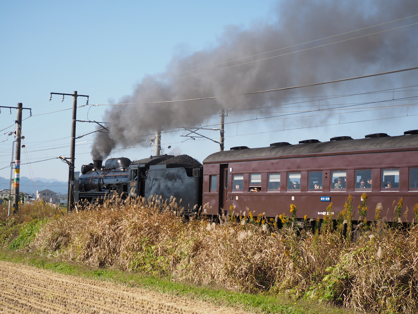 PA280226.jpg
