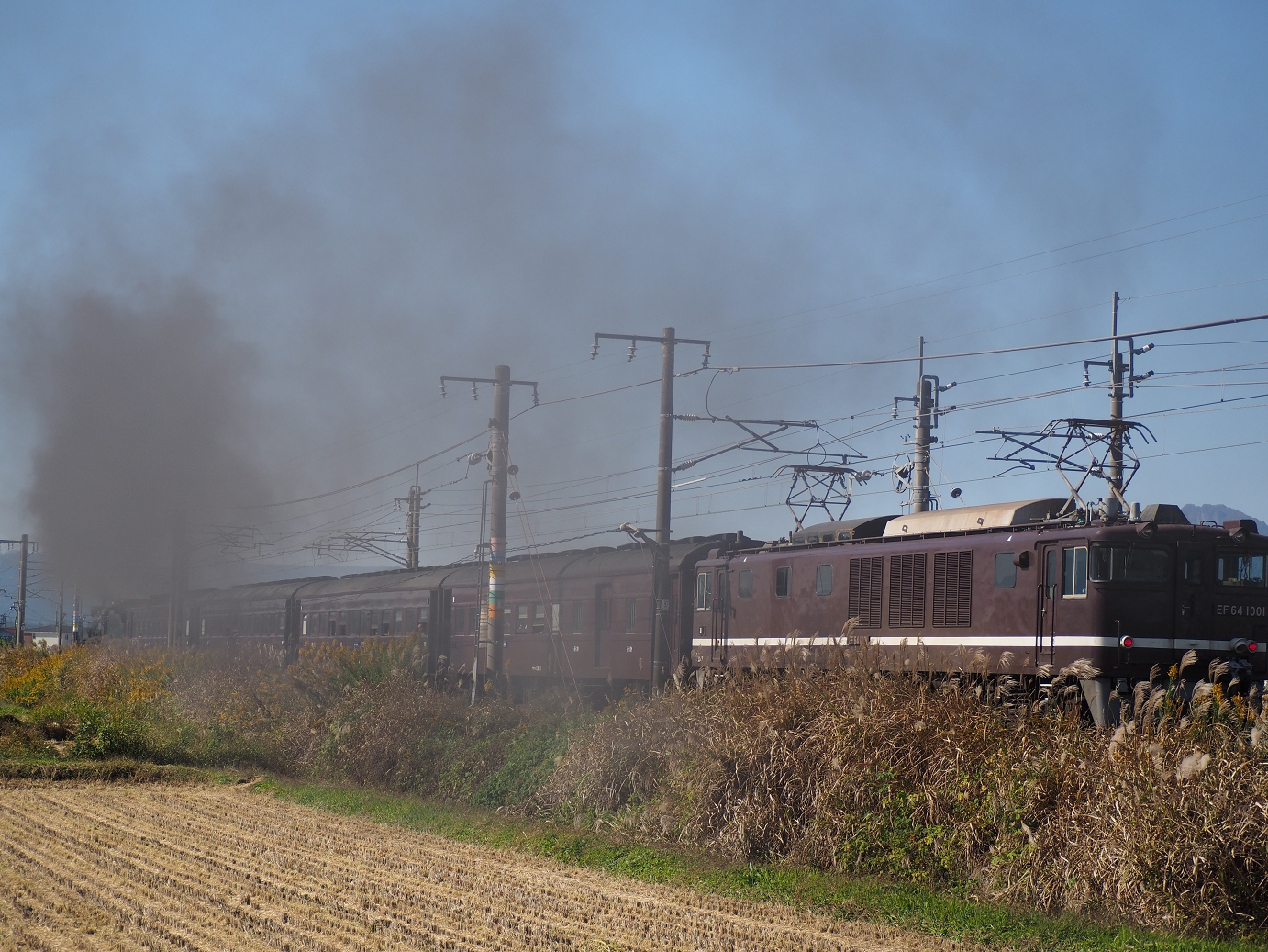 PA280233.jpg