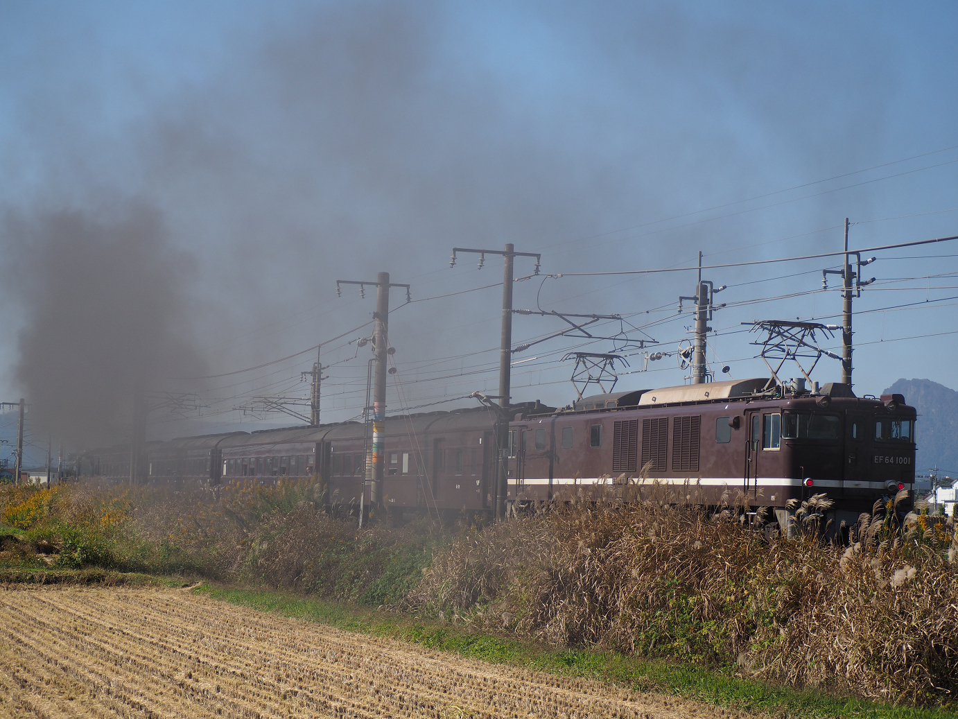 PA280234.jpg