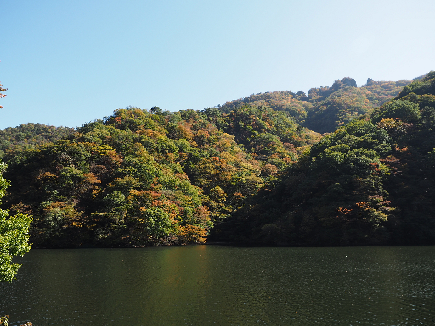 PA280242.jpg