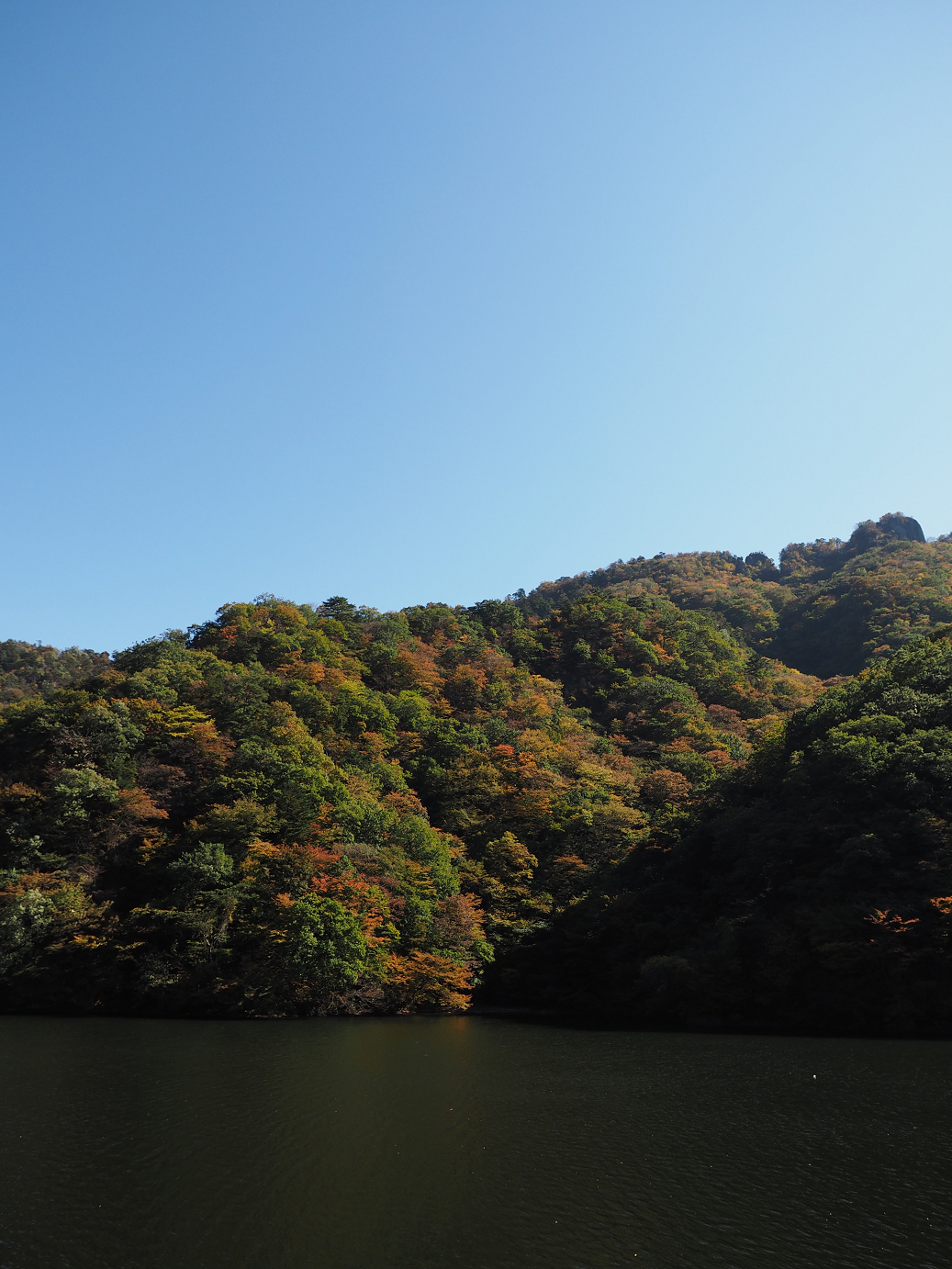 PA280243.jpg