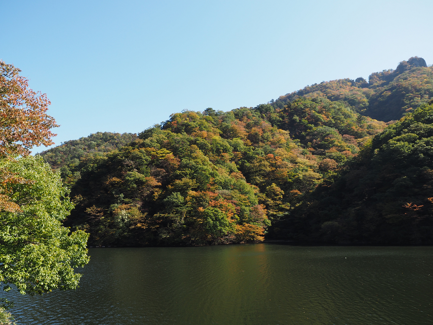 PA280248.jpg