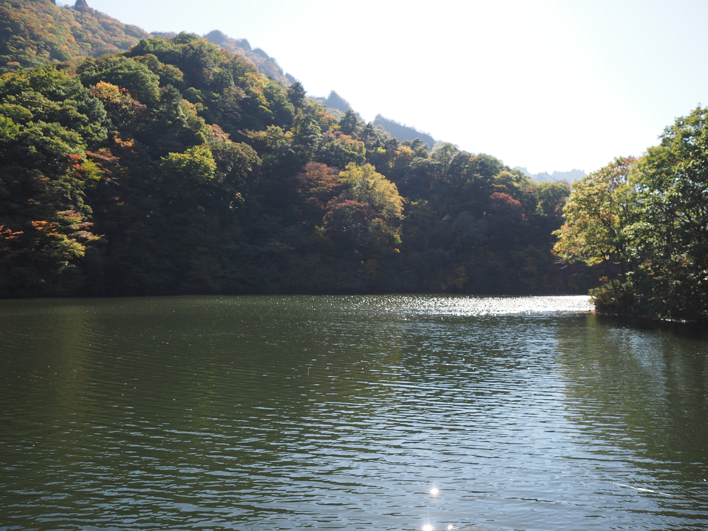 PA280252.jpg