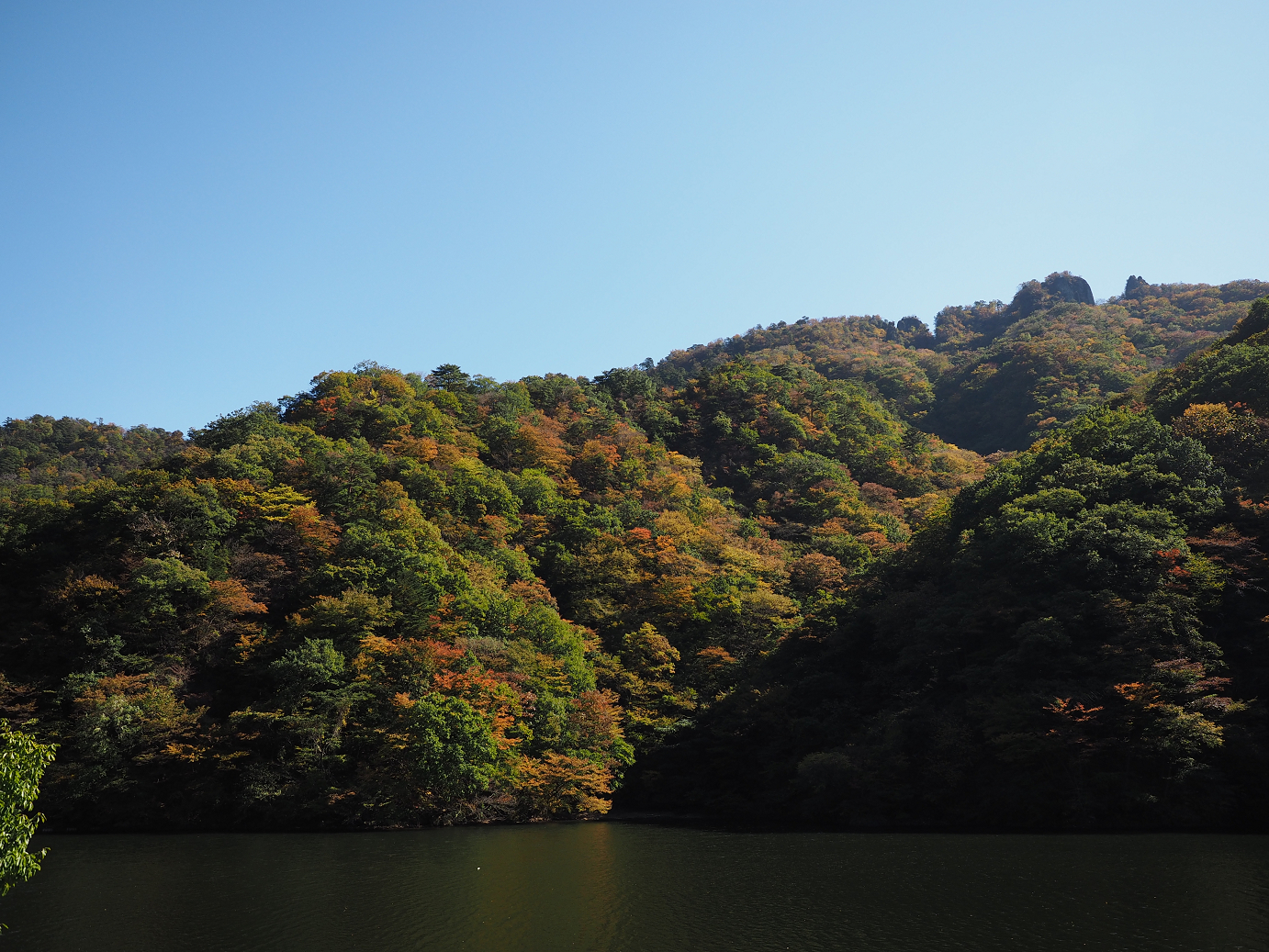 PA280259.jpg