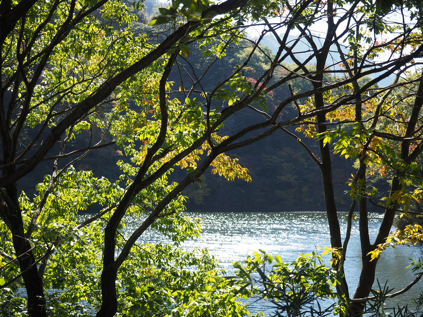 PA280270.jpg