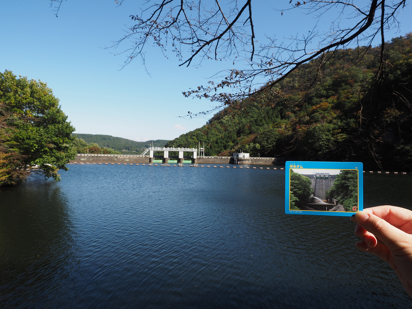 PA280274.jpg