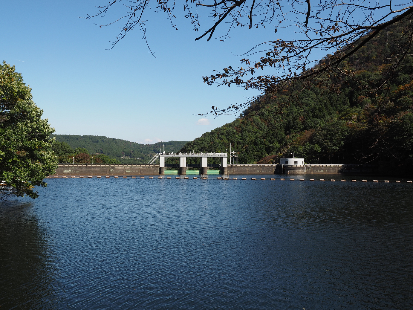 PA280276.jpg