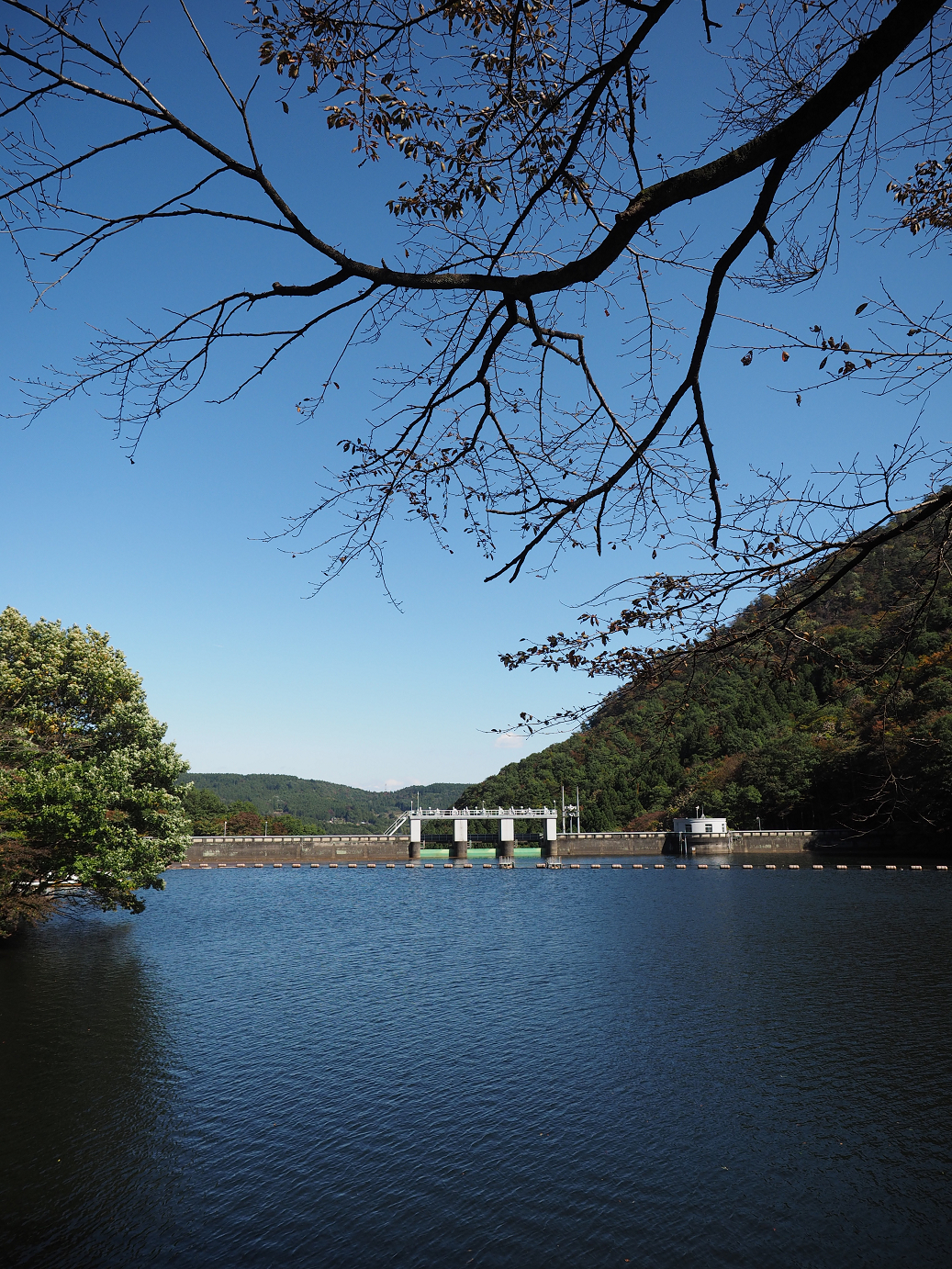 PA280281.jpg