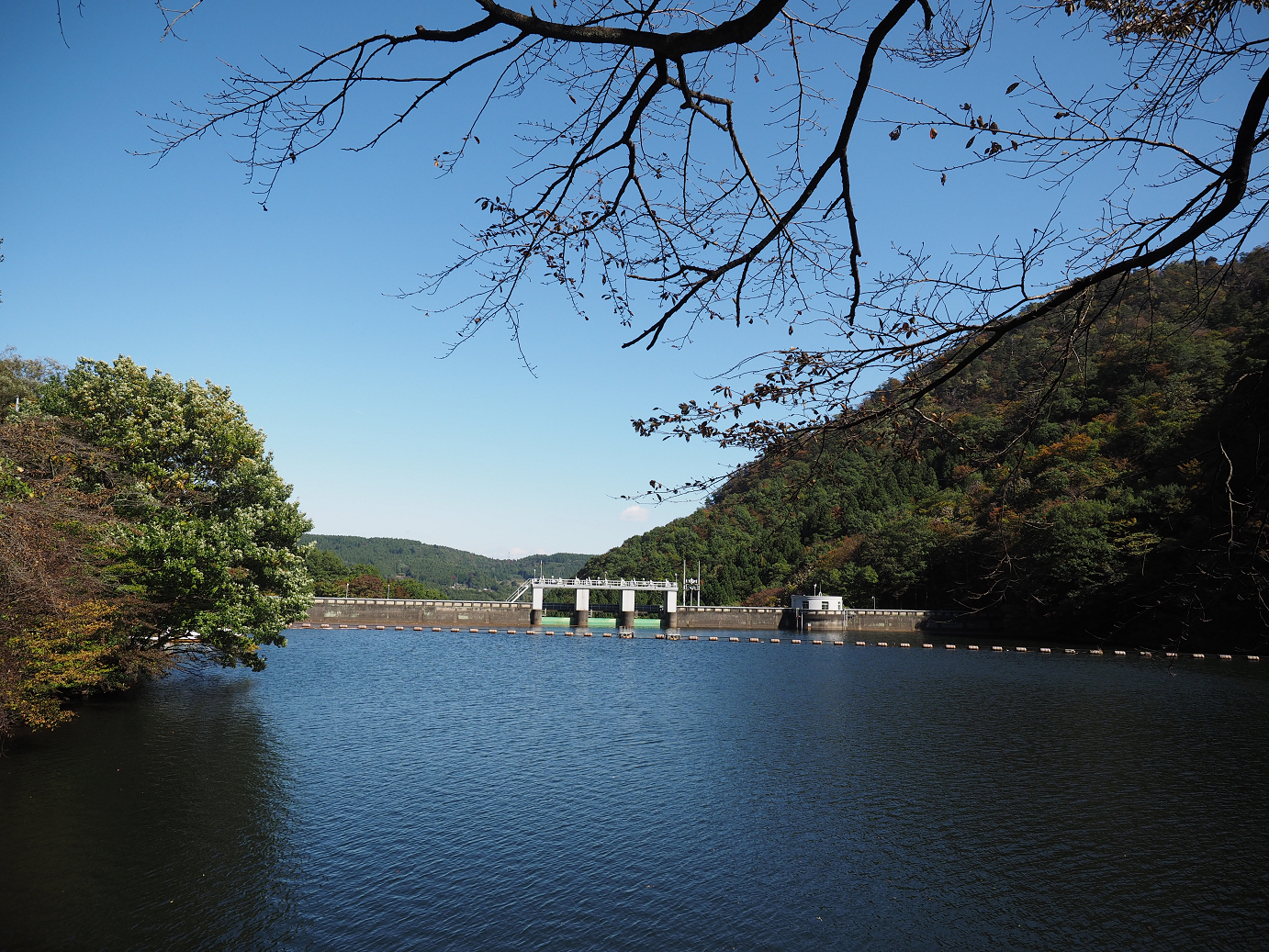 PA280282.jpg