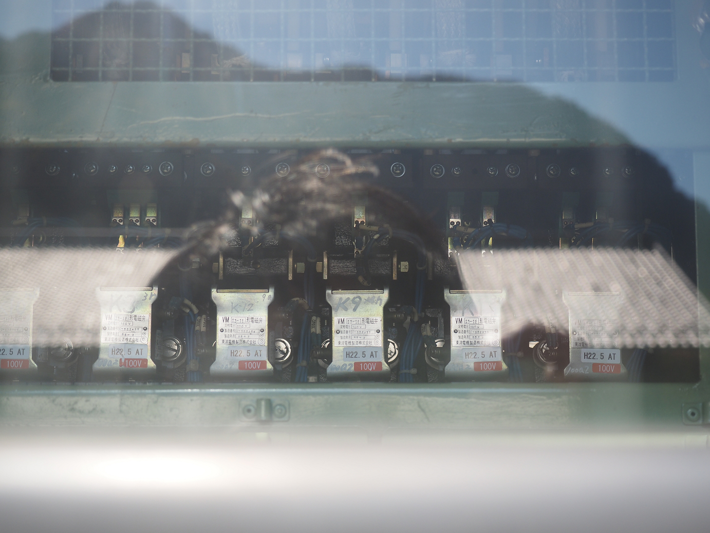 PA280387.jpg