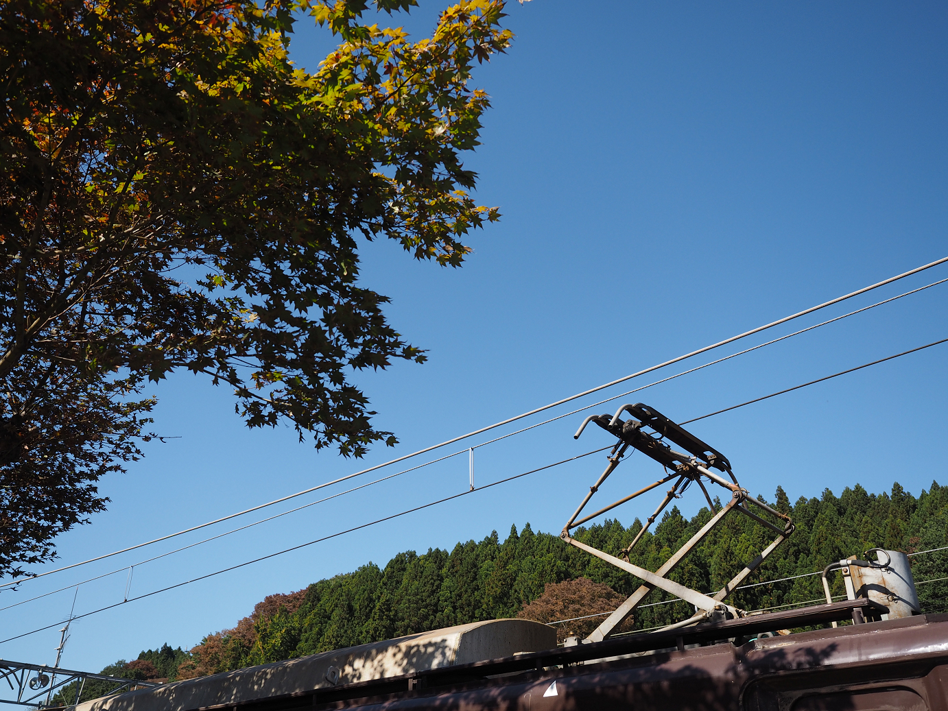 PA280410.jpg