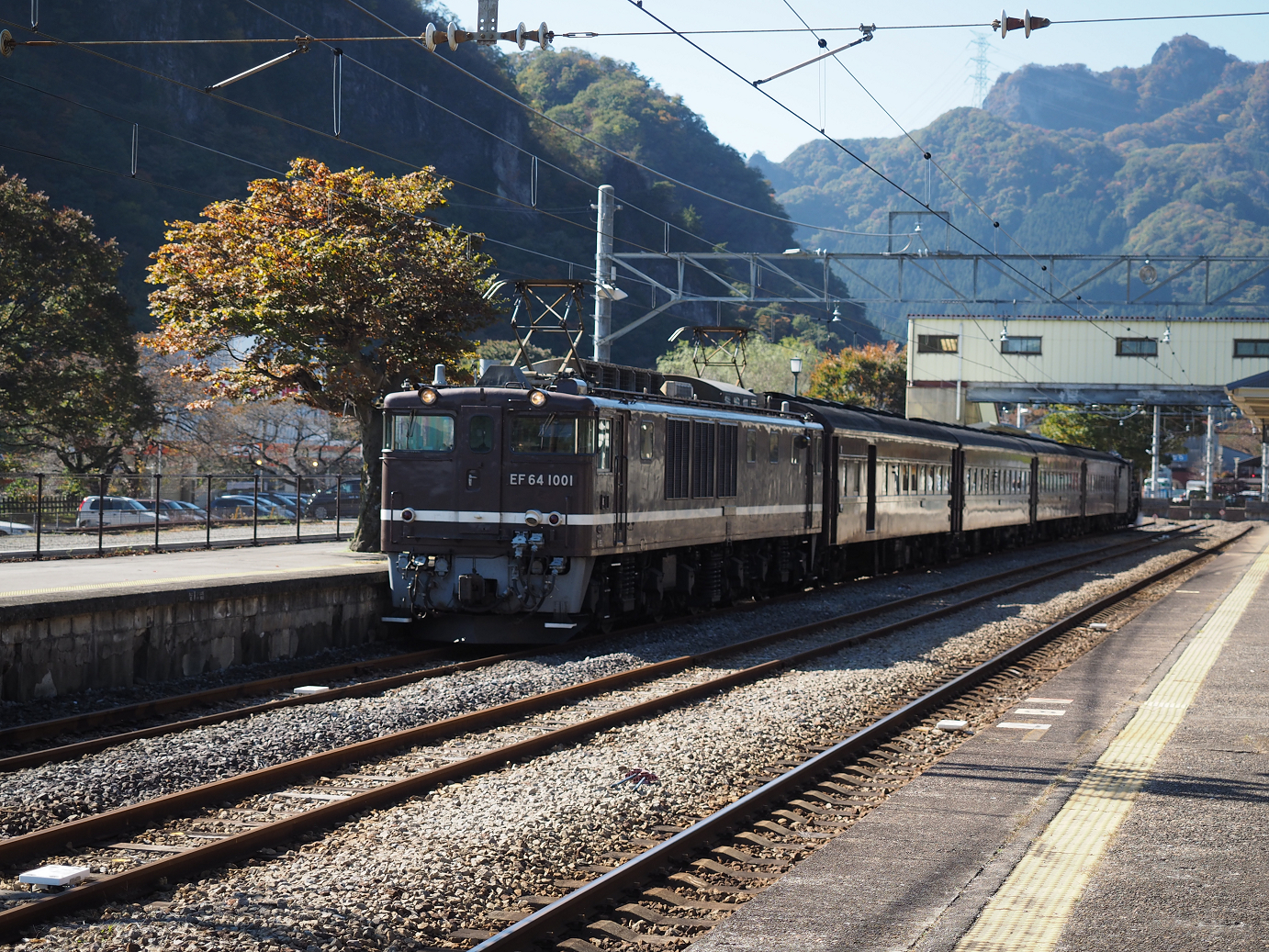 PA280536.jpg