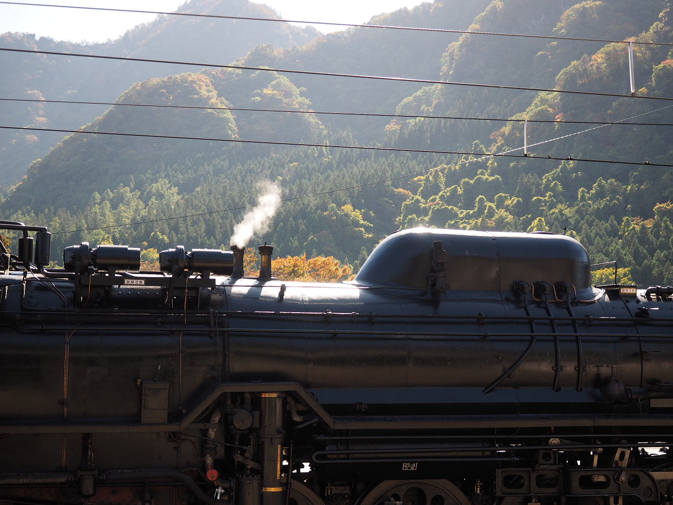 PA280599.jpg