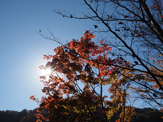 PA280642_thumb.png