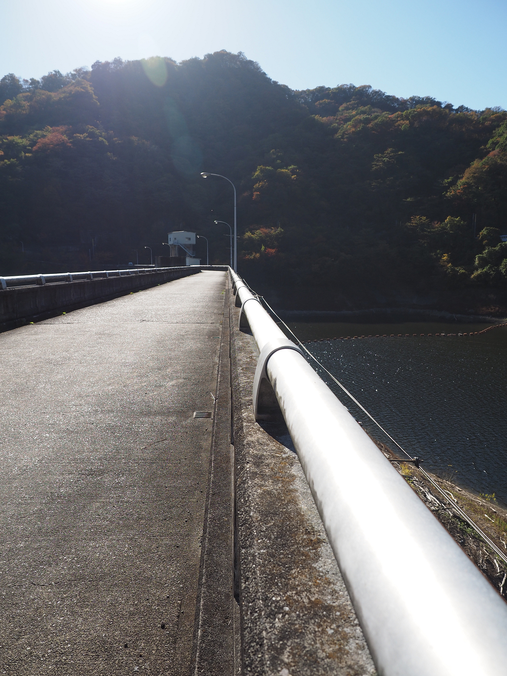 PA280662.jpg