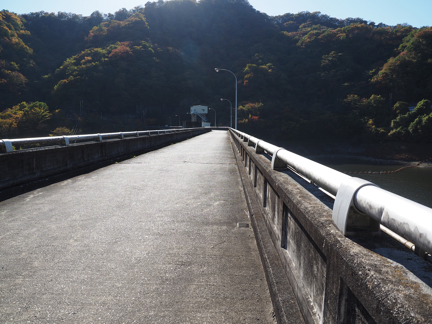 PA280663.jpg