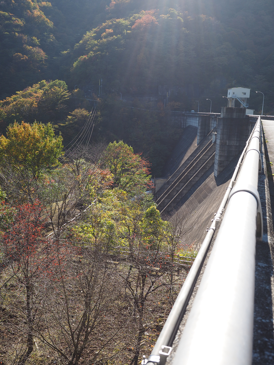 PA280666.jpg