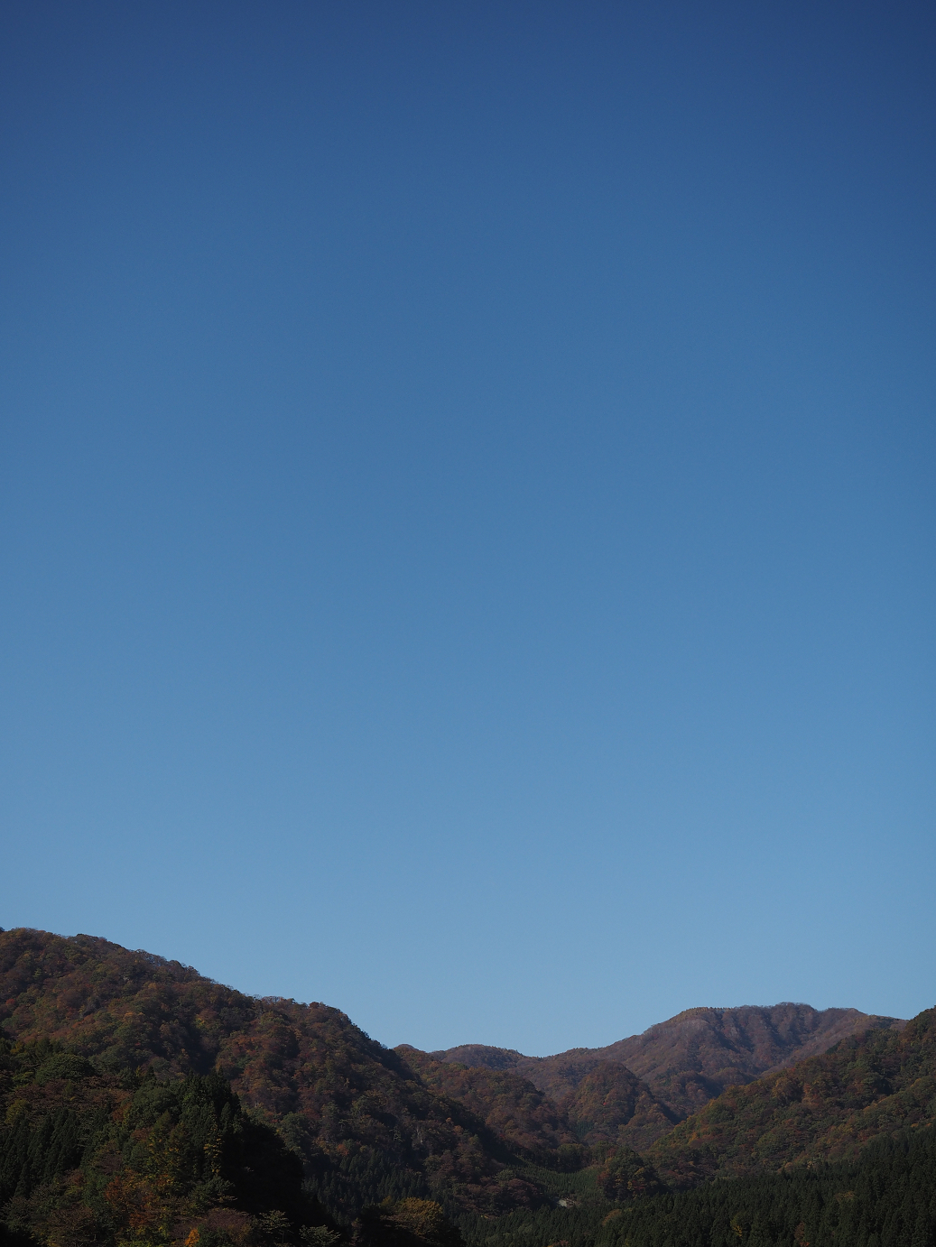 PA280668.jpg