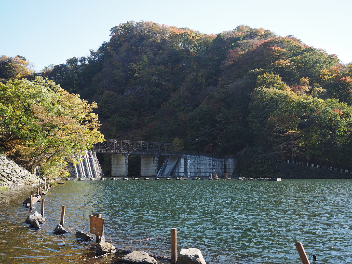 PA280674.jpg