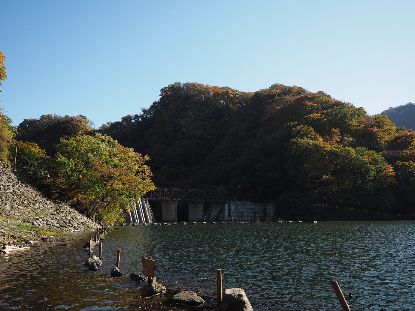 PA280675.jpg